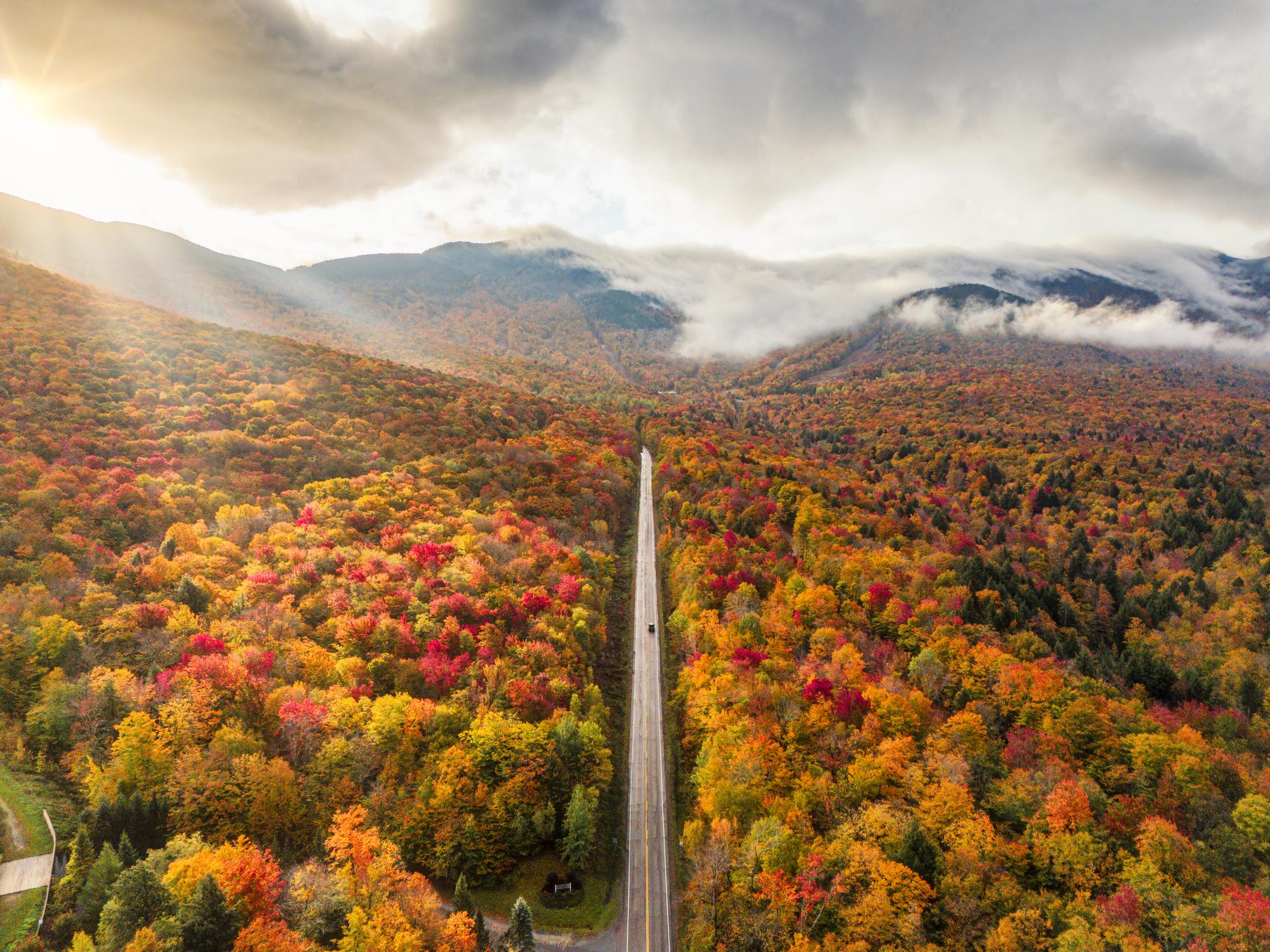 4 Iconic Fall Foliage Getaways: Peak Timing by Region and Where to Stay with Sonesta